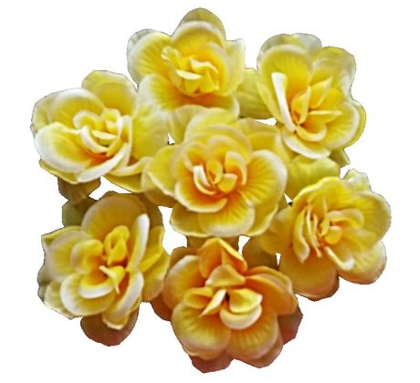 Ružičky umelé žlté W303-06 - 10 ks