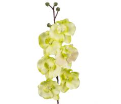 Umelá orchidea L728-05