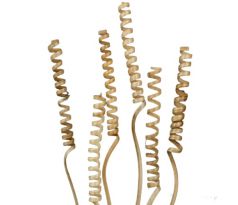 Cane spring mini 35 cm