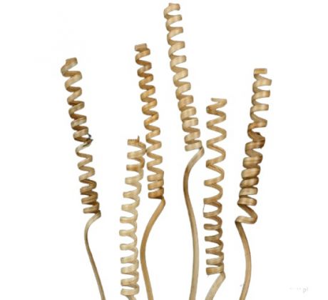 Cane spring mini 35 cm