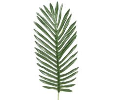 Umelý palmový list 48 cm, detail