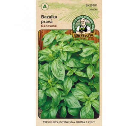 Bazalka pravá Genovese