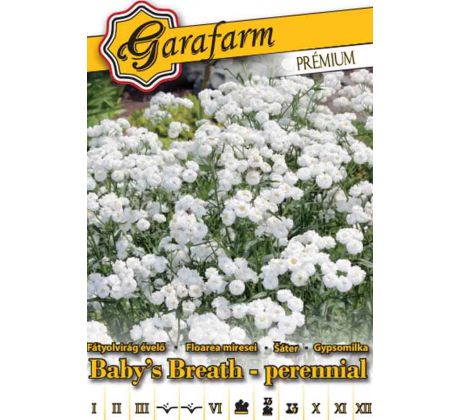 Gypomilka úhľadná biela