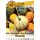 Tekvica okrasná Gourds rôznorodá zmes