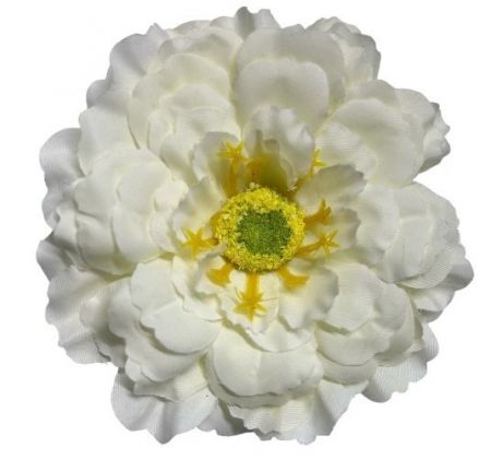 Umelá cínia krémová  9 cm