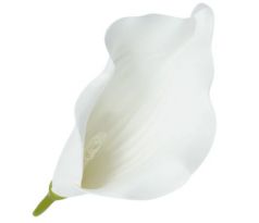 Umelá kala biela 15 cm