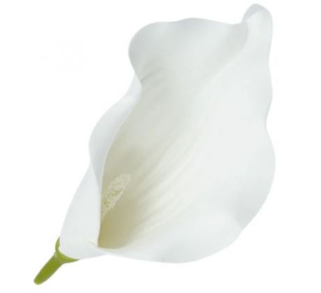 Umelá kala biela 15 cm