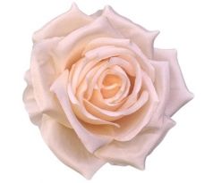 Umelá ruža hodvábna broskyňová 9 cm