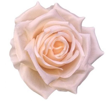 Umelá ruža hodvábna broskyňová 9 cm