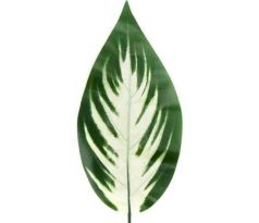 Umelý list Hosta 50 cm