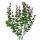 Umelý eukalyptus zelenohnedý 40 cm