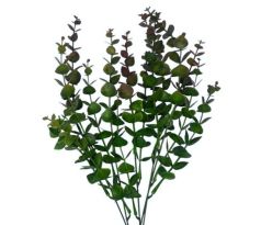 Umelý eukalyptus zelenobordový 40 cm
