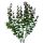 Umelý eukalyptus zelenobordový 40 cm