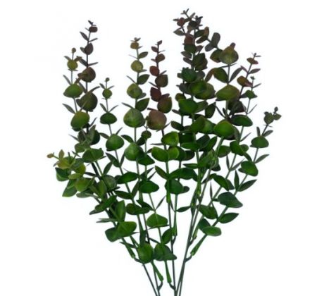 Umelý eukalyptus zelenobordový 40 cm