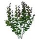 Umelý eukalyptus zelenobordový 40 cm