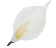 Umelá kala biela mini 13 cm