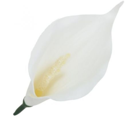 Umelá kala biela mini 13 cm