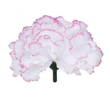 Umelý karafiát biely s fialovým okrajom 8 cm