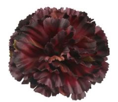 Umelý karafiát bordovo čierny 9 cm