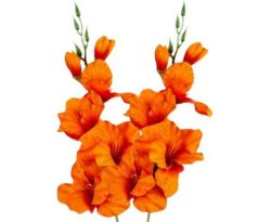 Umelá gladióla saténová oranžová 54 cm