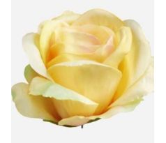 Umelá ruža puk žltý 7 cm