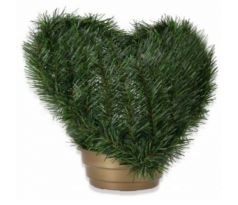 Srdce čečina v kvetináči 35 x 35 cm