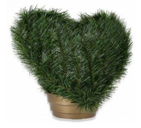 Srdce čečina v kvetináči 35 x 35 cm