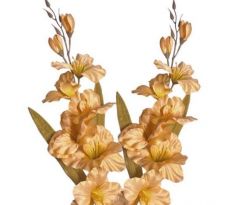 Umelá gladióla saténová marhuľová 65 cm