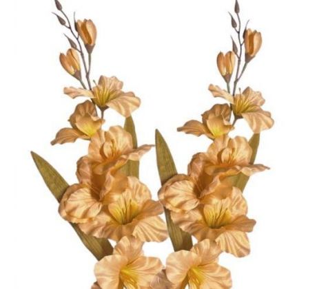 Umelá gladióla saténová marhuľová 65 cm