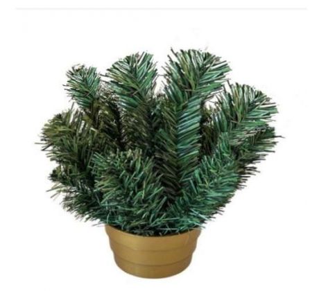 Čečinový základ mini 25 cm