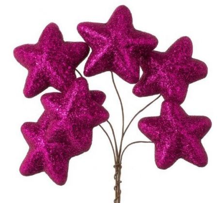 Hviezdičky fuksiové glitrové zväzok 6 ks