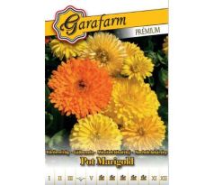 Nechtík lekársky - v krásnej zmesi farieb