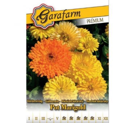 Nechtík lekársky - v krásnej zmesi farieb