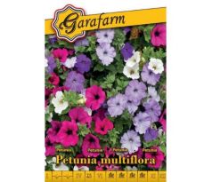 Petúnia nízka zmes - farebná zmes pre záhony aj balkóny