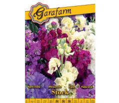 Fiala sivá zmes Stock - voňavá jednoročná rastlina pre záhony aj rez