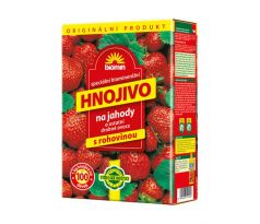 FORESTINA Biomin na jahody s rohovinou 1 kg